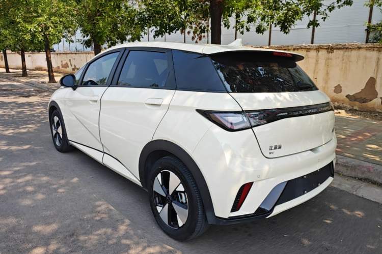 Used BYD Dolphin 2023 420 km Fashion Edition Rear Left 45 Deg