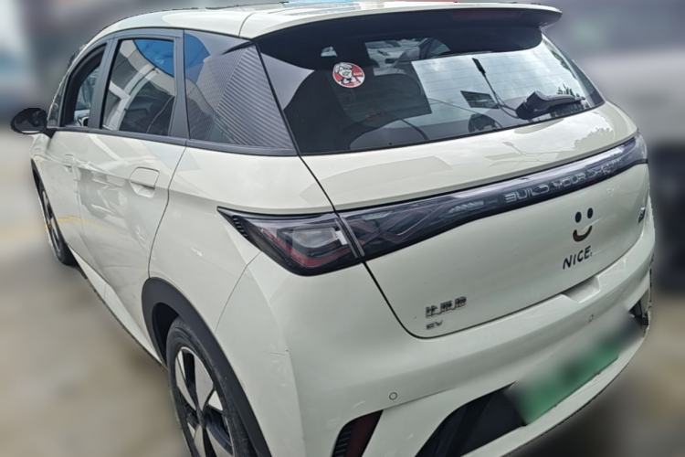 Used BYD Dolphin 2023 420 km Fashion Edition Rear Left 45 Deg