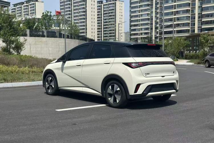 Used BYD Dolphin 2023 420 km Fashion Edition Rear Left 45 Deg