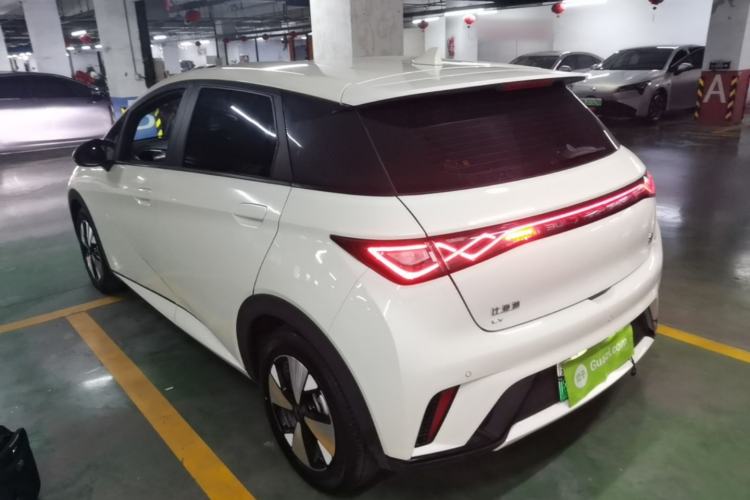 Used BYD Dolphin 2023 420 km Free Version Rear Left 45 Deg
