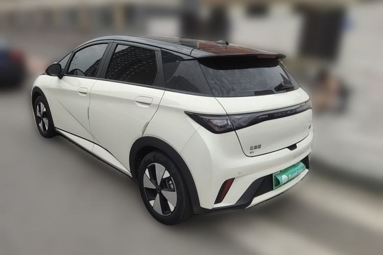 Used BYD Dolphin 2023 420 km Fashion Edition Rear Left 45 Deg