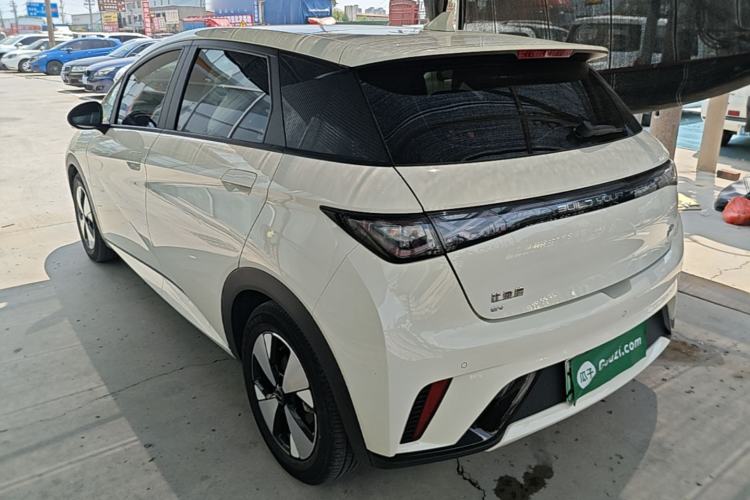 Used BYD Dolphin 2023 420 km Fashion Edition Rear Left 45 Deg