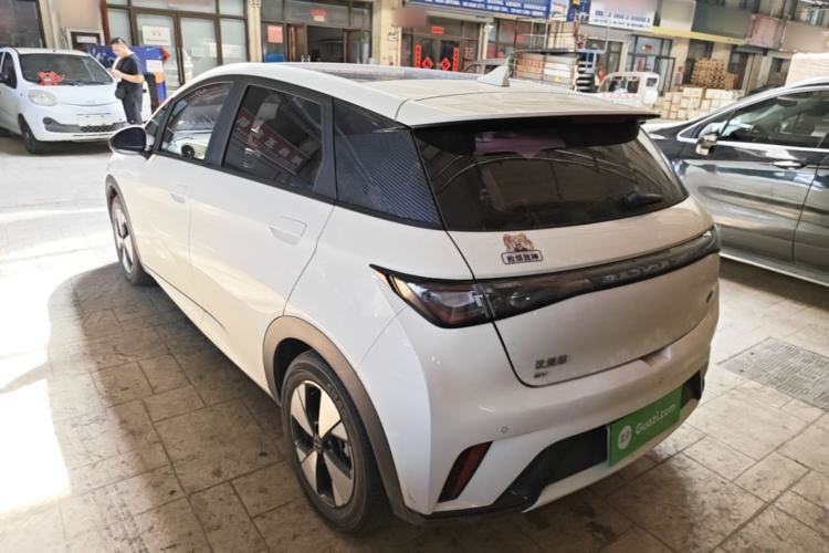 Used BYD Dolphin 2023 420 km Free Version Rear Left 45 Deg