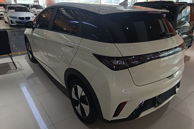 Used BYD Dolphin 2023 420 km Fashion Edition Rear Left 45 Deg