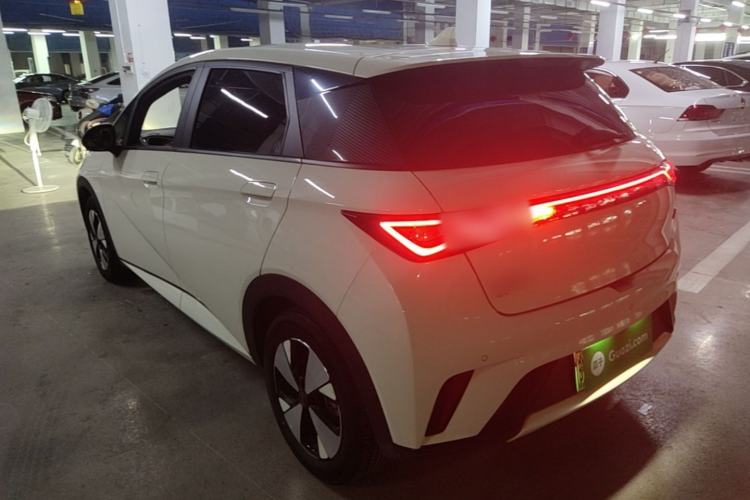 Used BYD Dolphin 2023 420 km Free Version Rear Left 45 Deg