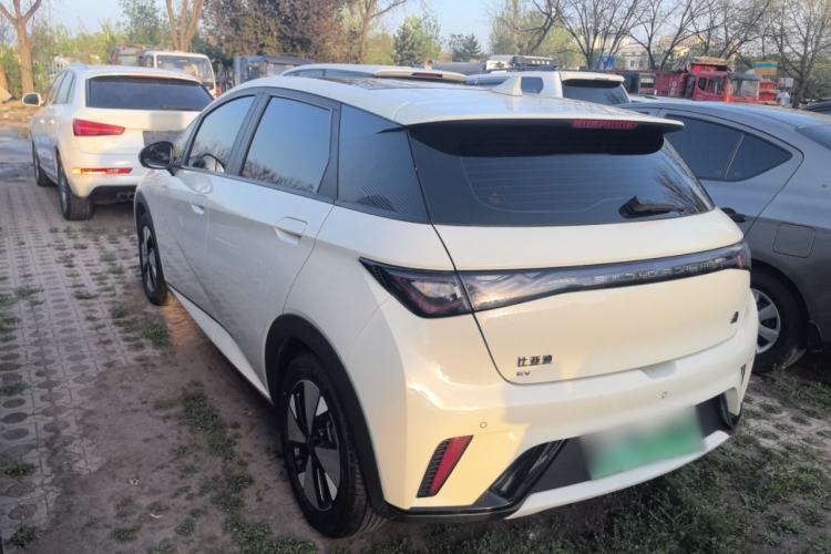 Used BYD Dolphin 2023 420 km Fashion Edition Rear Left 45 Deg
