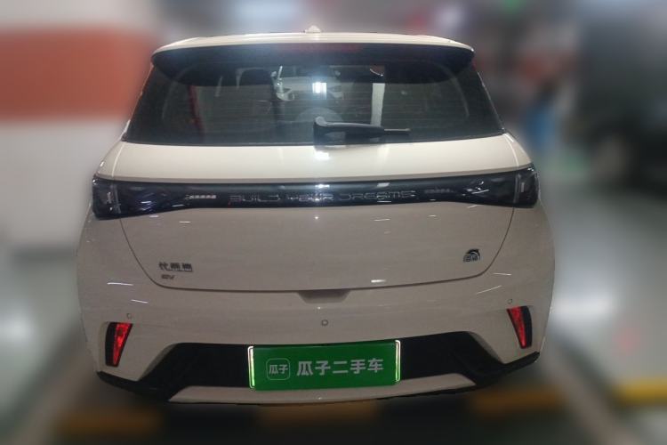 Used BYD Dolphin 2023 420 km Fashion Edition Rear