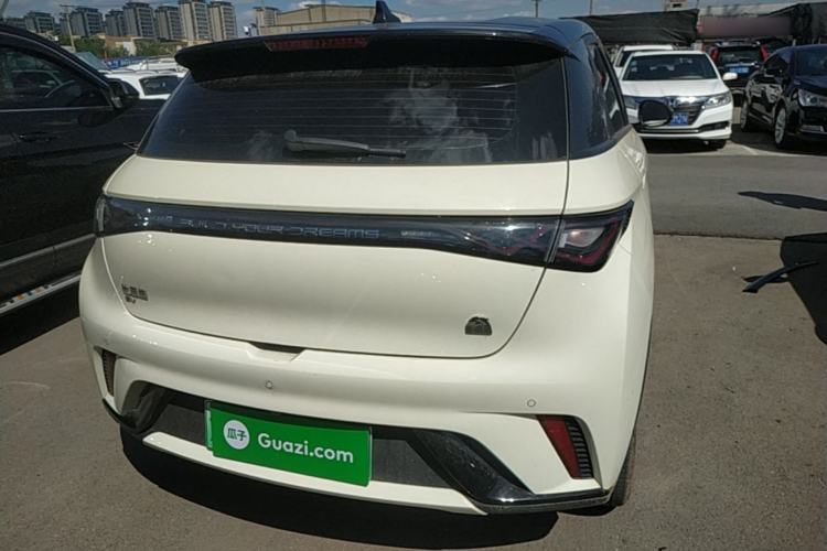 Used BYD Dolphin 2023 420 km Free Version Rear