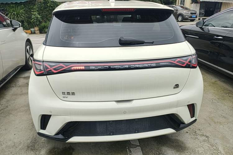 Used BYD Dolphin 2023 420 km Free Version Rear