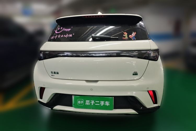 Used BYD Dolphin 2023 420 km Fashion Edition Rear
