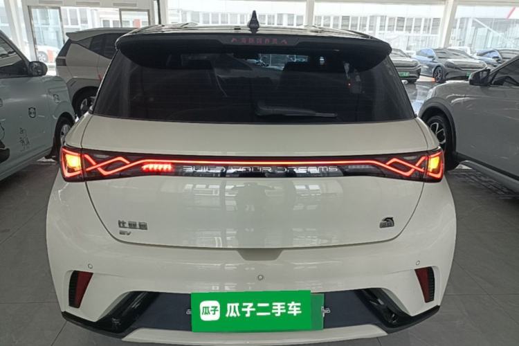 Used BYD Dolphin 2023 420 km Free Version Rear