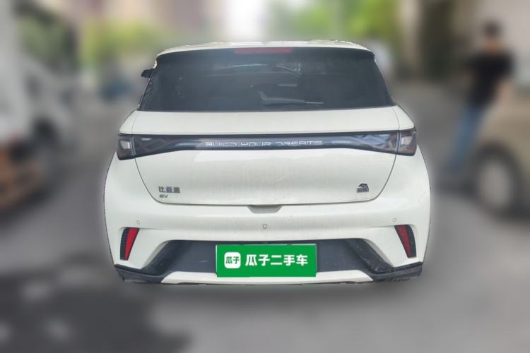 Used BYD Dolphin 2023 420 km Free Version Rear