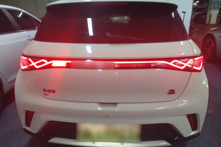 Used BYD Dolphin 2023 420 km Free Version Rear