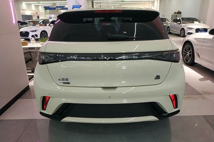 Used BYD Dolphin 2023 420 km Fashion Edition Rear