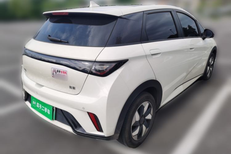 Used BYD Dolphin 2023 420 km Fashion Edition Rear Right 45 Deg