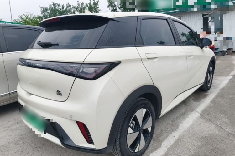 Used BYD Dolphin 2023 420 km Fashion Edition Rear Right 45 Deg