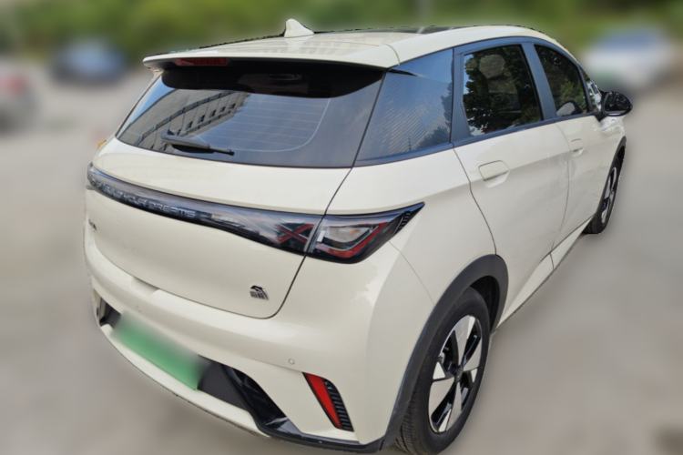 Used BYD Dolphin 2023 420 km Fashion Edition Rear Right 45 Deg