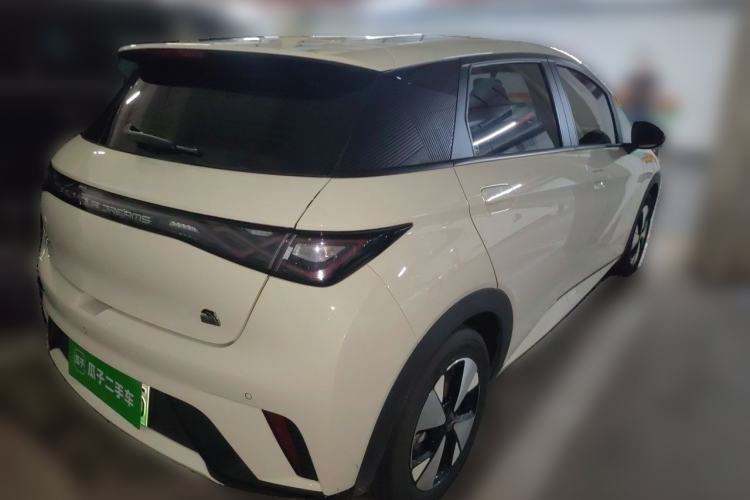 Used BYD Dolphin 2023 420 km Free Version Rear Right 45 Deg