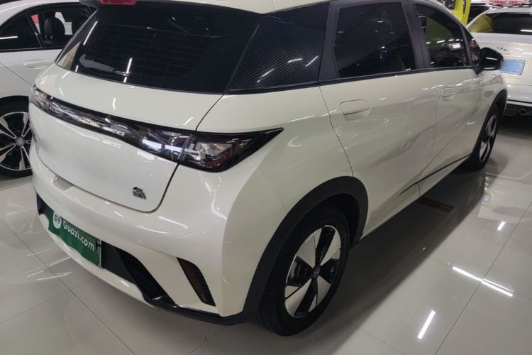 Used BYD Dolphin 2023 420 km Fashion Edition Rear Right 45 Deg
