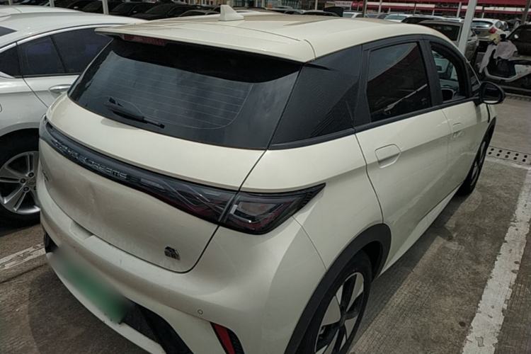 Used BYD Dolphin 2023 420 km Free Version Rear Right 45 Deg