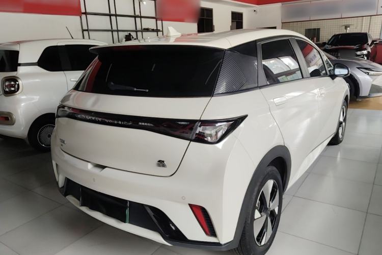 Used BYD Dolphin 2023 420 km Free Version Rear Right 45 Deg