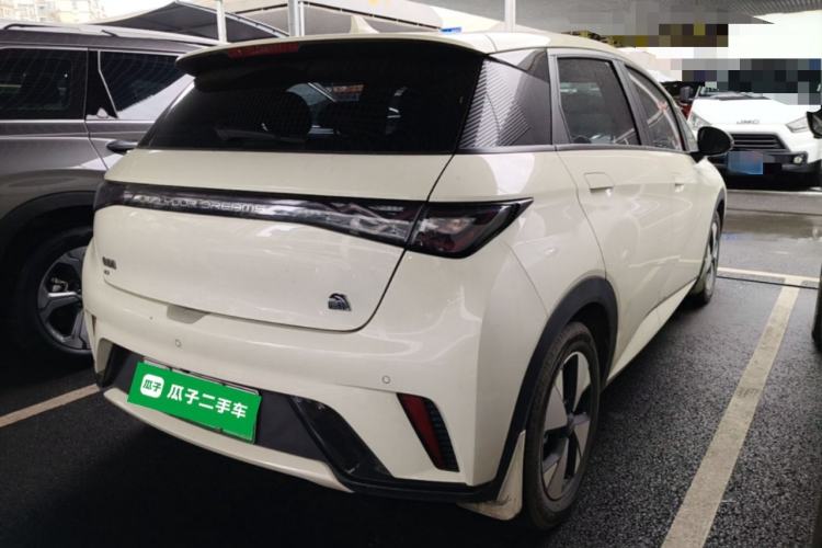 Used BYD Dolphin 2023 420 km Fashion Edition Rear Right 45 Deg