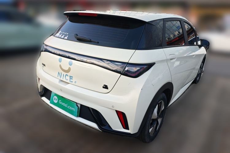 Used BYD Dolphin 2023 420 km Fashion Edition Rear Right 45 Deg