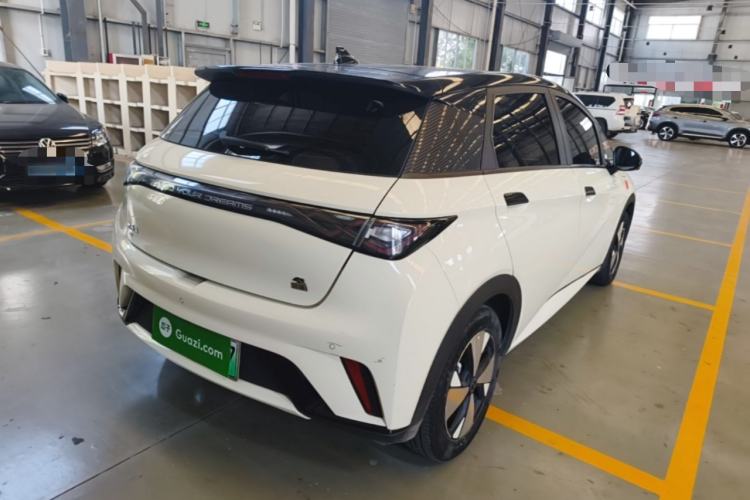 Used BYD Dolphin 2023 420 km Fashion Edition Rear Right 45 Deg
