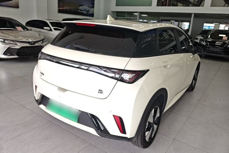 Used BYD Dolphin 2023 420 km Fashion Edition Rear Right 45 Deg
