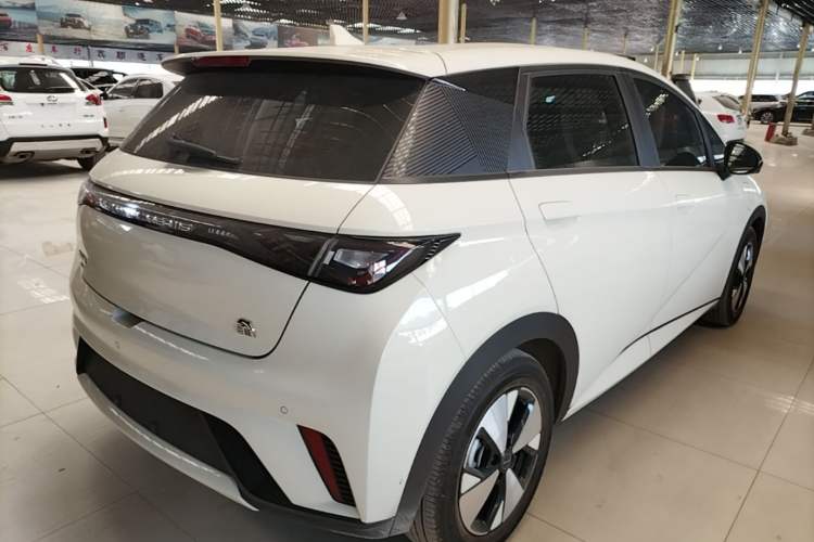 Used BYD Dolphin 2023 420 km Free Version Rear Right 45 Deg