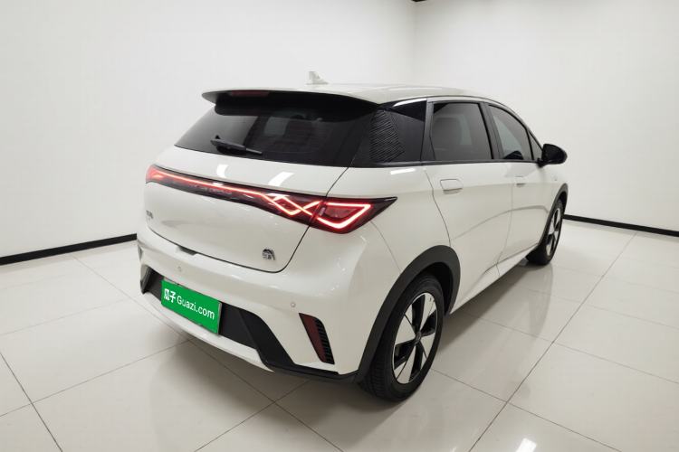 Used BYD Dolphin 2023 420 km Free Version Rear Right 45 Deg