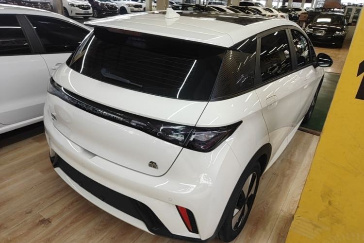 Used BYD Dolphin 2023 420 km Fashion Edition Rear Right 45 Deg