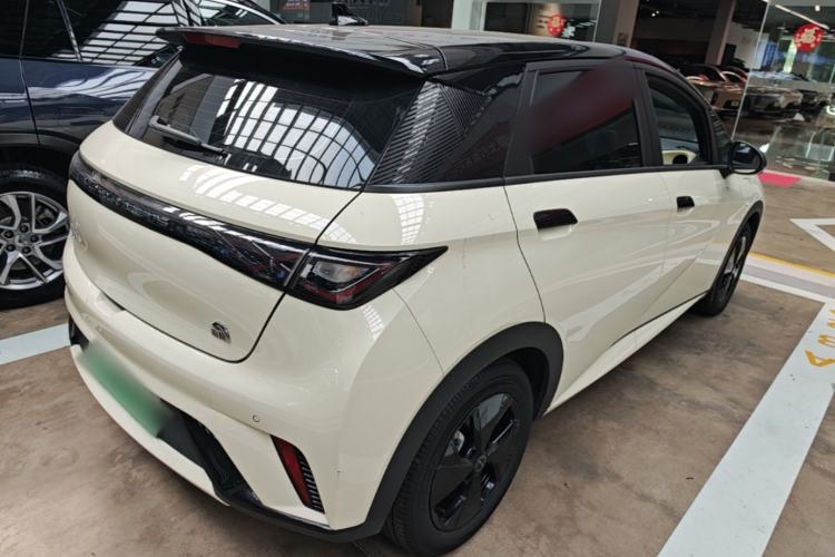 Used BYD Dolphin 2023 420 km Free Version Rear Right 45 Deg