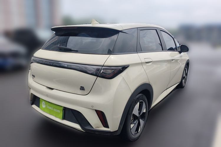 Used BYD Dolphin 2023 420 km Free Version Rear Right 45 Deg
