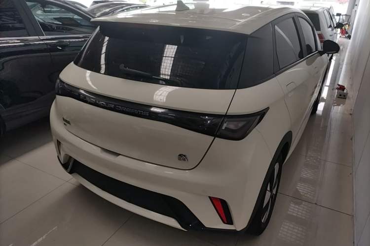 Used BYD Dolphin 2023 420 km Free Version Rear Right 45 Deg