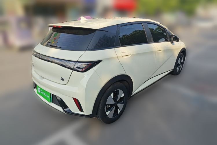 Used BYD Dolphin 2023 420 km Free Version Rear Right 45 Deg