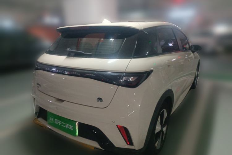 Used BYD Dolphin 2023 420 km Fashion Edition Rear Right 45 Deg