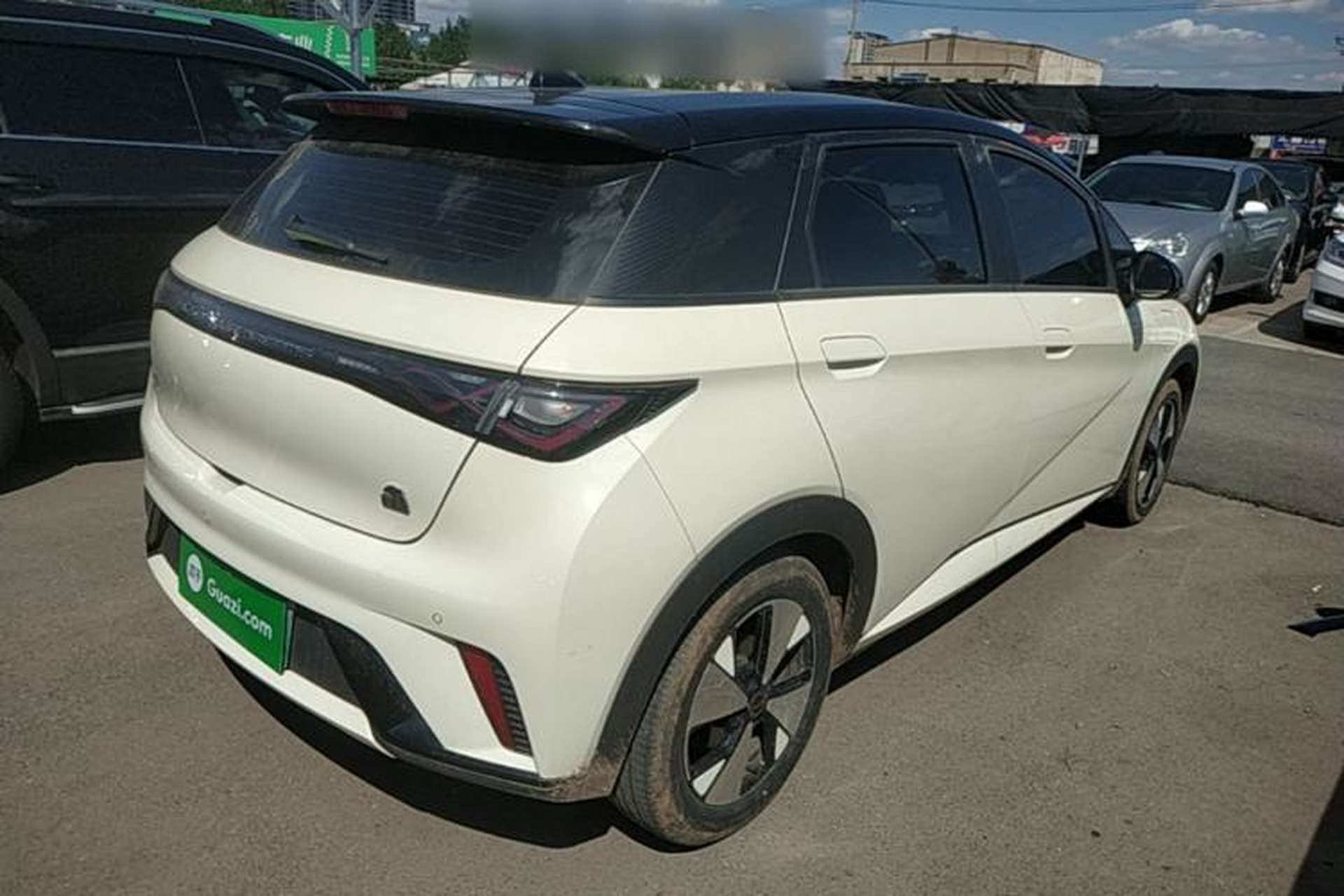 Used BYD Dolphin 2023 420 km Free Version Rear Right 45 Deg