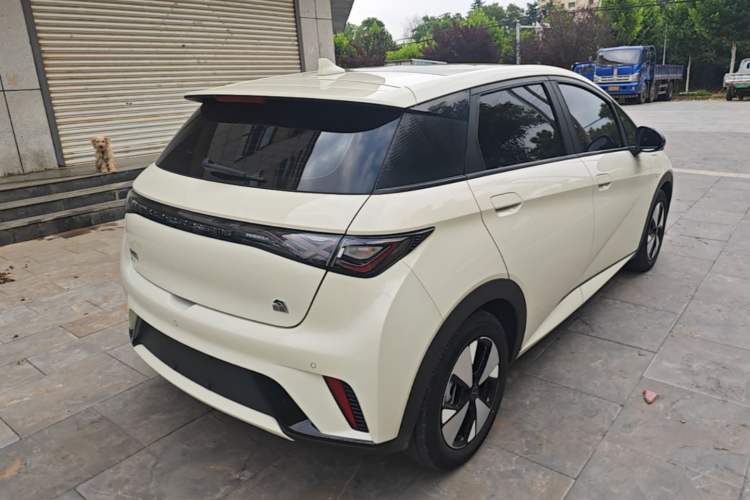 Used BYD Dolphin 2023 420 km Fashion Edition Rear Right 45 Deg