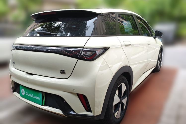 Used BYD Dolphin 2023 420 km Fashion Edition Rear Right 45 Deg