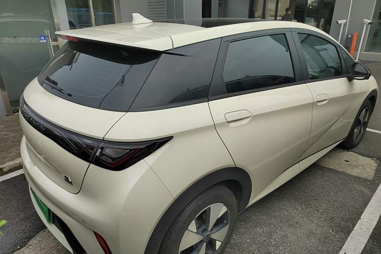 Used BYD Dolphin 2023 420 km Fashion Edition Rear Right 45 Deg