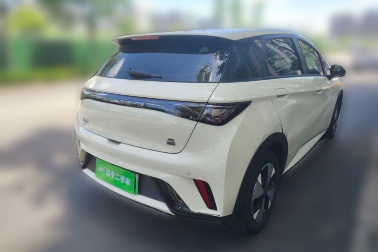 Used BYD Dolphin 2023 420 km Fashion Edition Rear Right 45 Deg