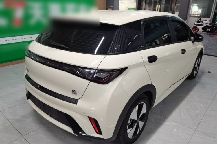 Used BYD Dolphin 2023 420 km Free Version Rear Right 45 Deg