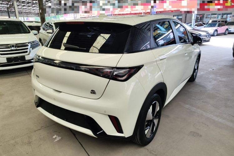 Used BYD Dolphin 2023 420 km Fashion Edition Rear Right 45 Deg
