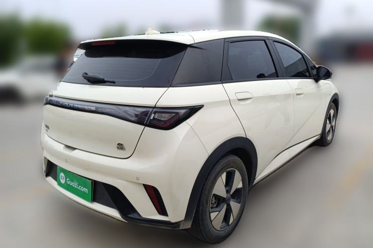 Used BYD Dolphin 2023 420 km Free Version Rear Right 45 Deg