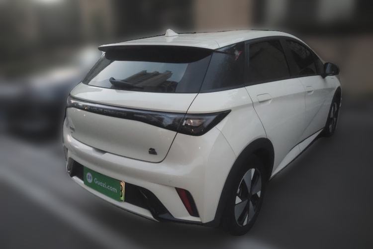 Used BYD Dolphin 2023 420 km Free Version Rear Right 45 Deg