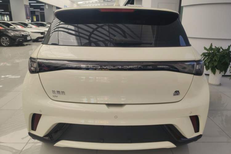 Used BYD Dolphin 2023 420 km Fashion Edition Rear