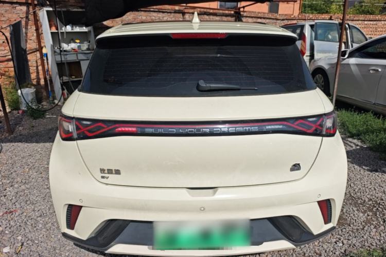 Used BYD Dolphin 2023 420 km Fashion Edition Rear