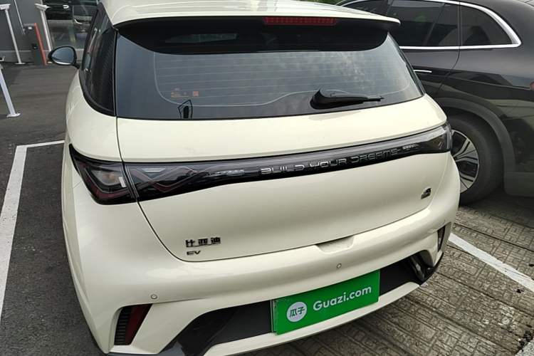 Used BYD Dolphin 2023 420 km Fashion Edition Rear