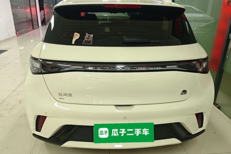 Used BYD Dolphin 2023 420 km Fashion Edition Rear
